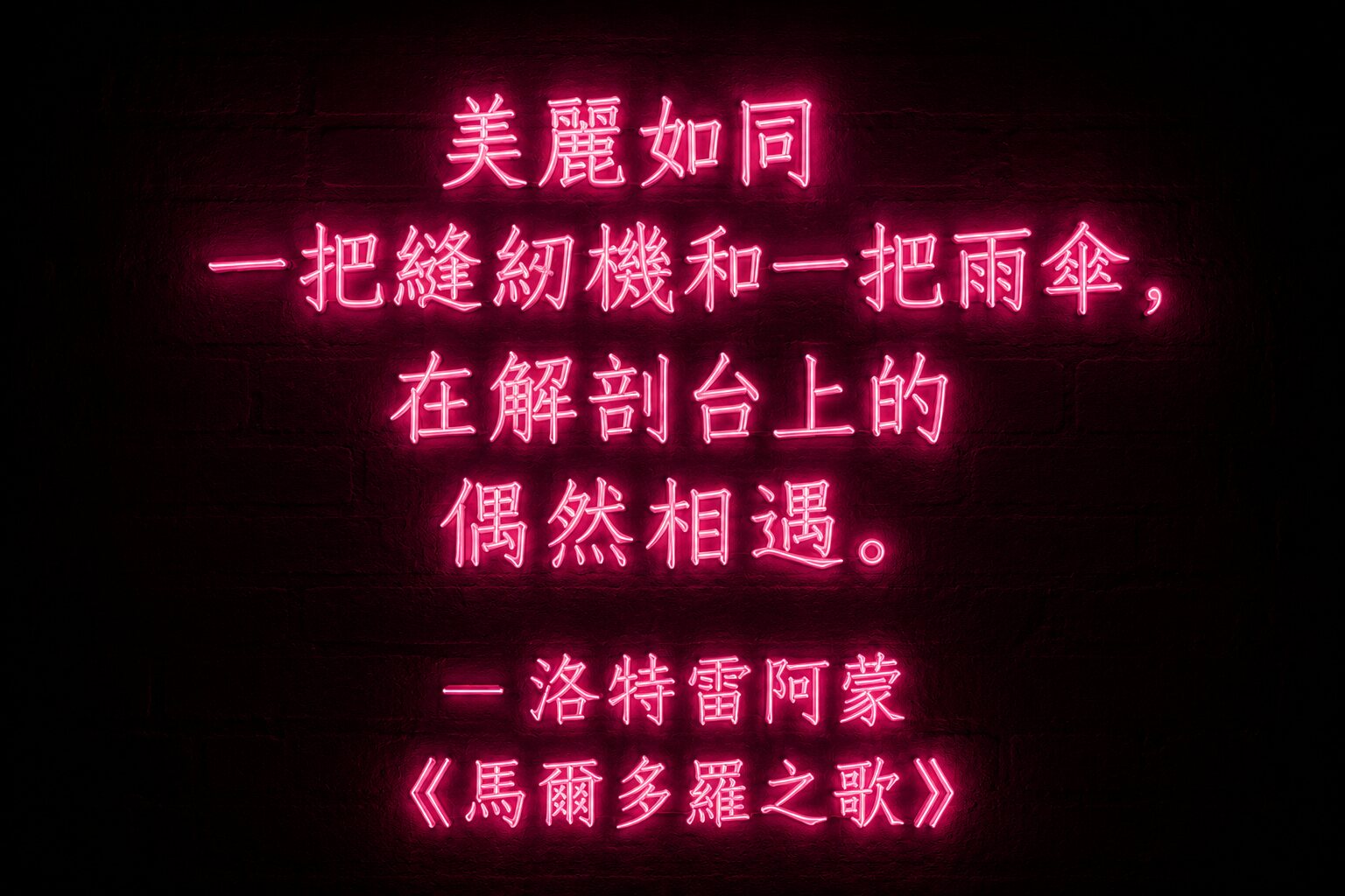 深色磚牆上的粉紅色霓虹中文字